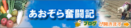 �������畱���L�@�����_���̃u���O